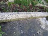 image of grave number 609450